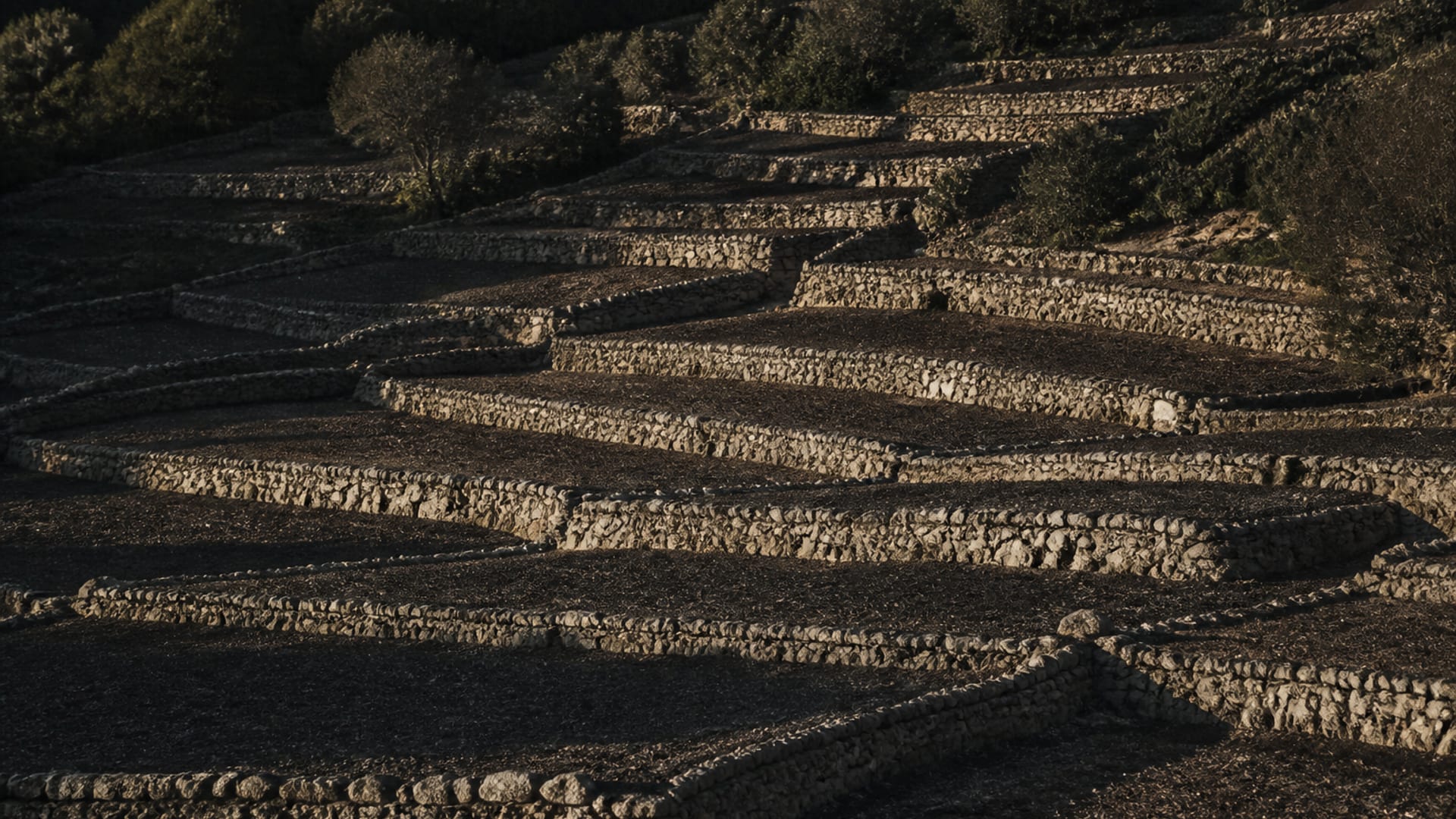 An ancient terraced hillside with dry stone retaining walls and bare freshly turned soil in late afternoon light.